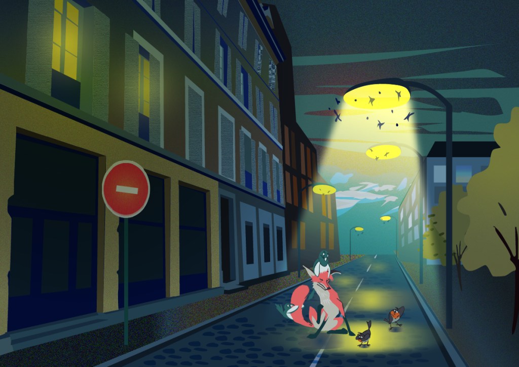 À Grenoble, la pollution lumineuse aveugle toujours la&nbsp;biodiversité